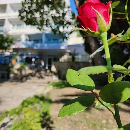 Park-hotel Rusalka فندق 3*